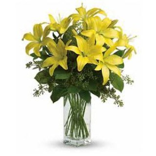10 Bunga Lily Kuning dalam Vas - Bunga Segar Dubai