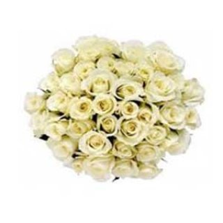 Bó Hoa Hồng Trắng 75 Hoa - Hoa Tươi Dubai
