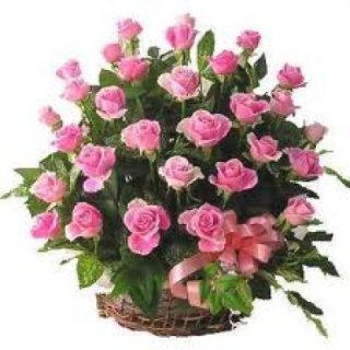 Keranjang Mawar Pink 50 Bunga - Bunga Segar Dubai