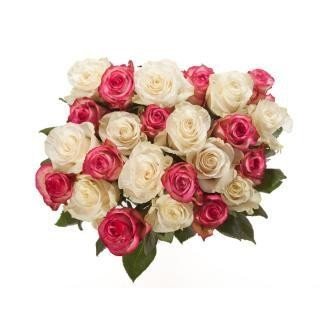 Pangkat ng Rosas na Pink at Puti - Sariwang Bulaklak Dubai