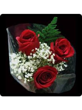 سه - 3 گل - گل تازه دبی