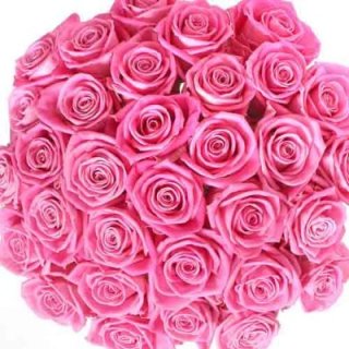 ของขวัญช่อดอกกุหลาบสีชมพู 100 ดอก - ดอกไม้สด ดูไบ