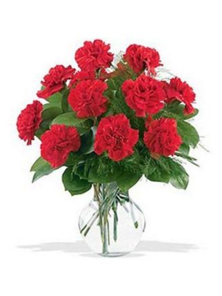 붉은 카네이션 24송이 꽃병 - 신선한 꽃 두바이
