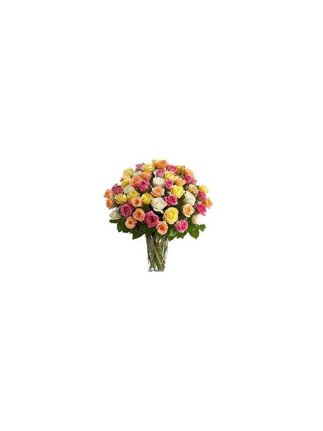 Rose di Colori Misti in Vaso, 75 Fiori